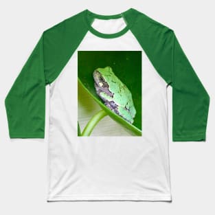 Tree Frog Love Baseball T-Shirt